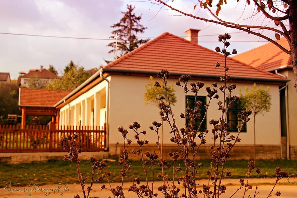 Barta Pince Vendeghaz Mad Otel Dış mekan fotoğraf